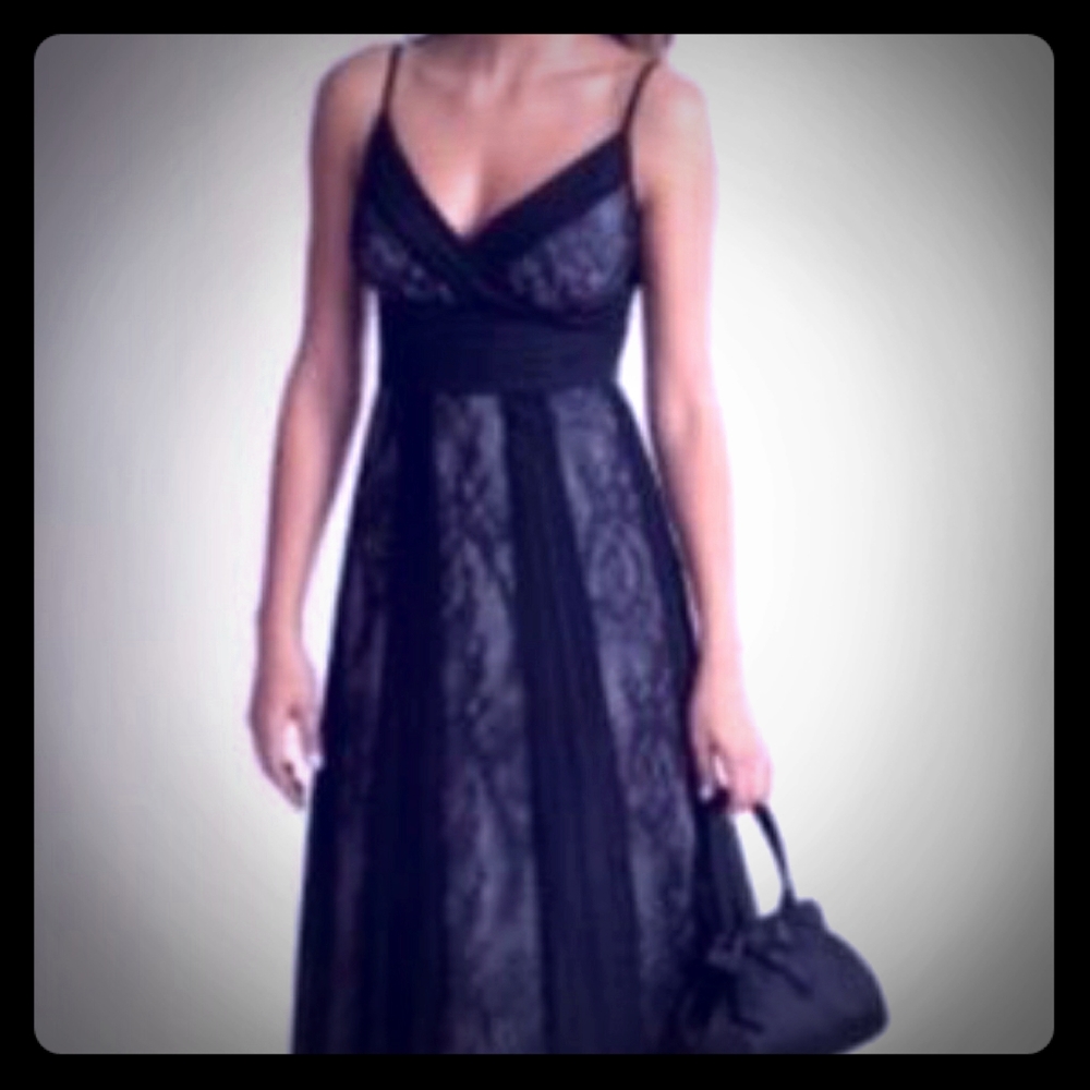 Ann Taylor Loft Lace Midi Dress